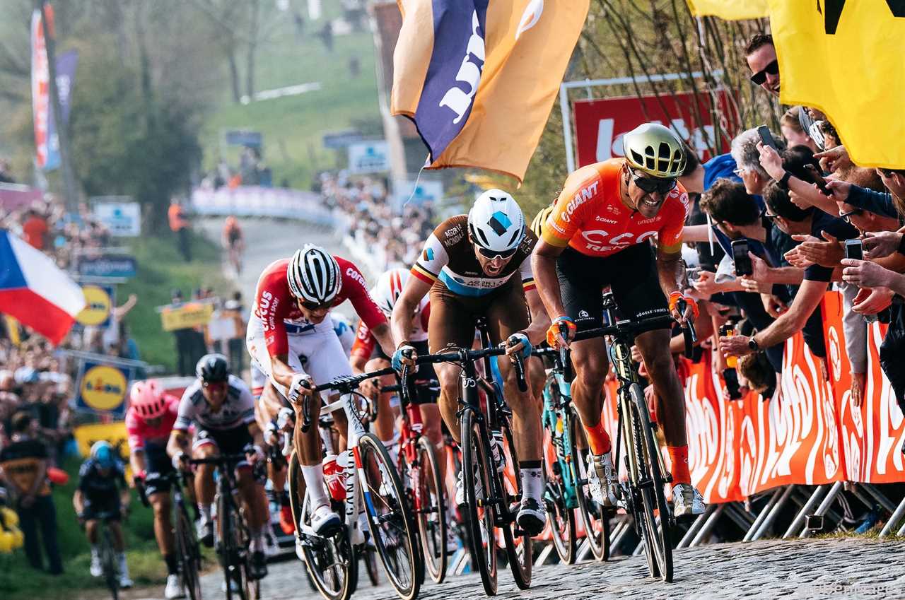 What you need to know about the men’s Omloop Het Nieuwsblad