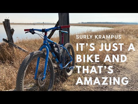 The Pandemic Build - Custom Surly Krampus Review