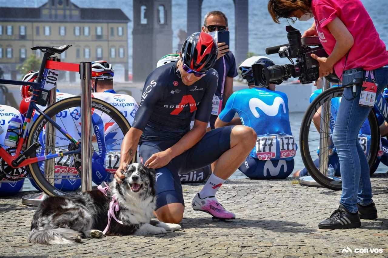 Thibaut Pinot has a new cow