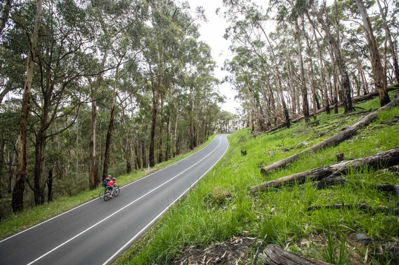 New record set on Melbourne’s 1 in 20 climb: Q&A with new KOM Liam Johnston