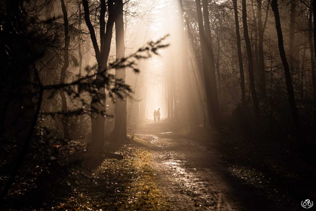 2021 Mark Gunter Photographer of the Year Awards: Showcase 1