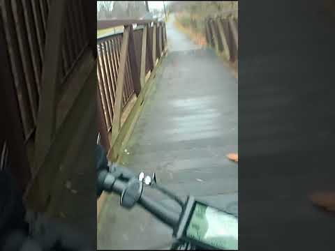 E-Bike Bridge Fall
