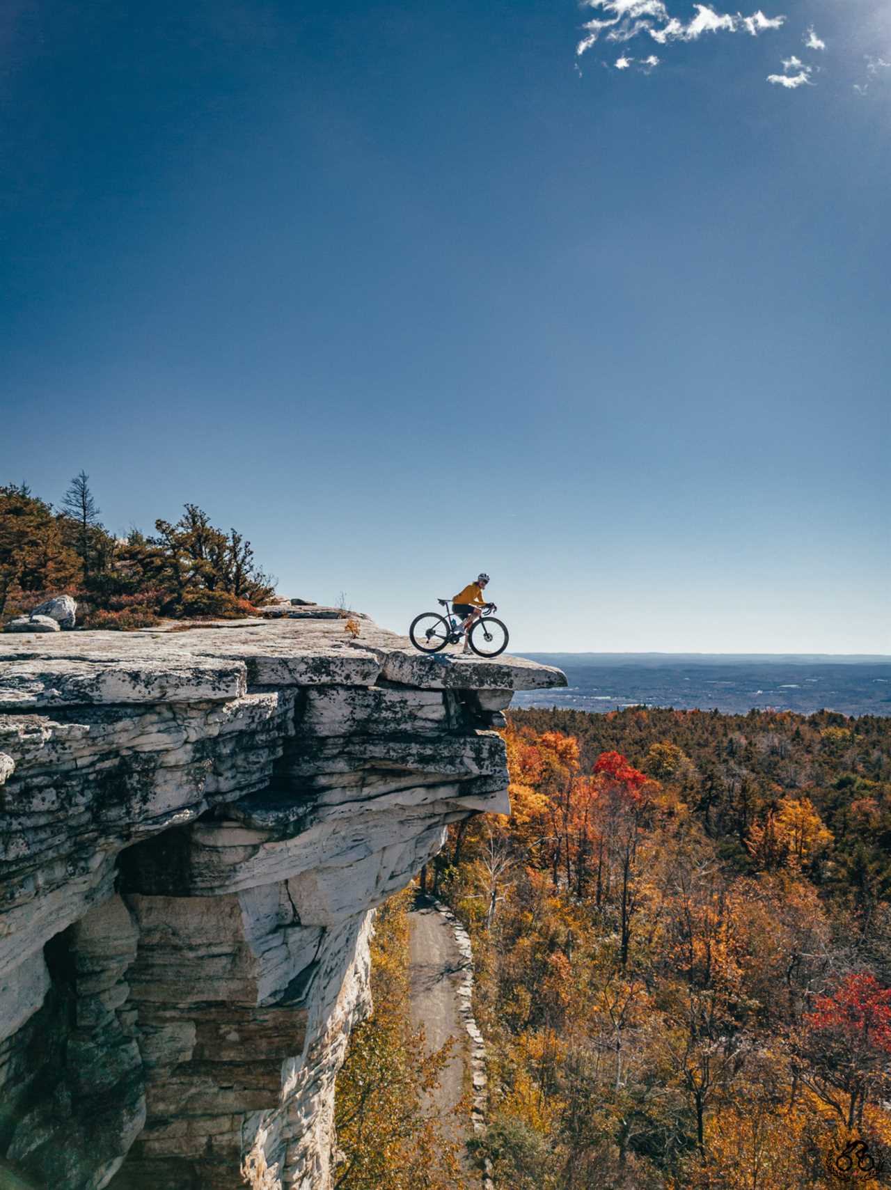 2021 Mark Gunter Photographer of the Year Awards: Showcase 3