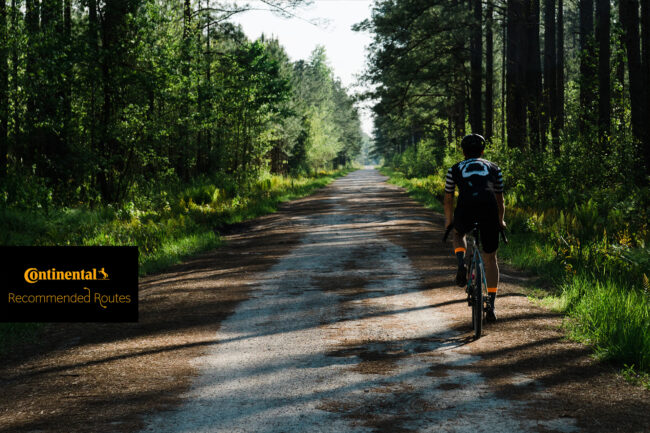 Recommended Routes: Croatan National Forest