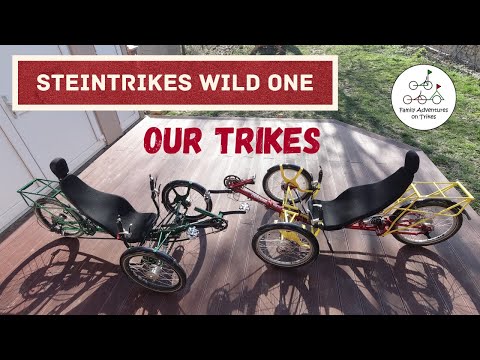Steintrikes Wild One Evaluation|Our recumbent trikes thoroughly