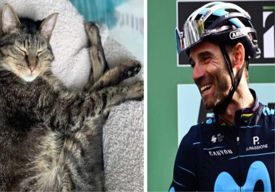 Alejandro Valverde has an ‘appetite for chin scratches and snuggles’