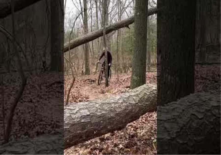 How high can you hop? #mountainbike #mtb