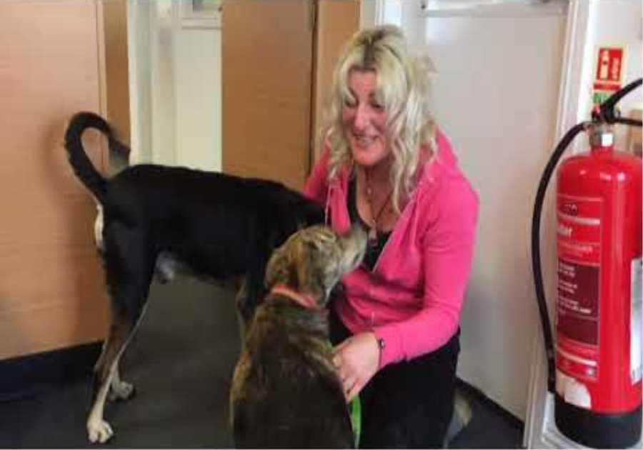 THE REUNION OF MARIA &amp; MURPHY IN SCOTLAND - 2 street dogs I rescued whilst cycling Brazil