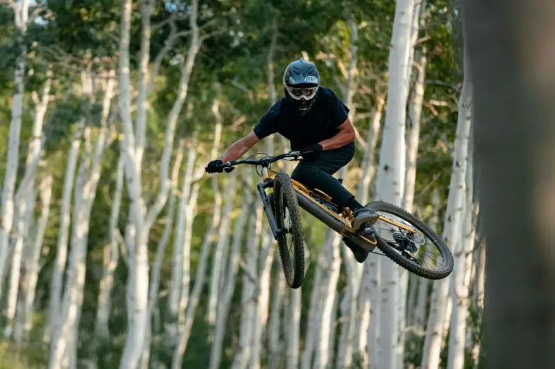 Pole Voima ID shred