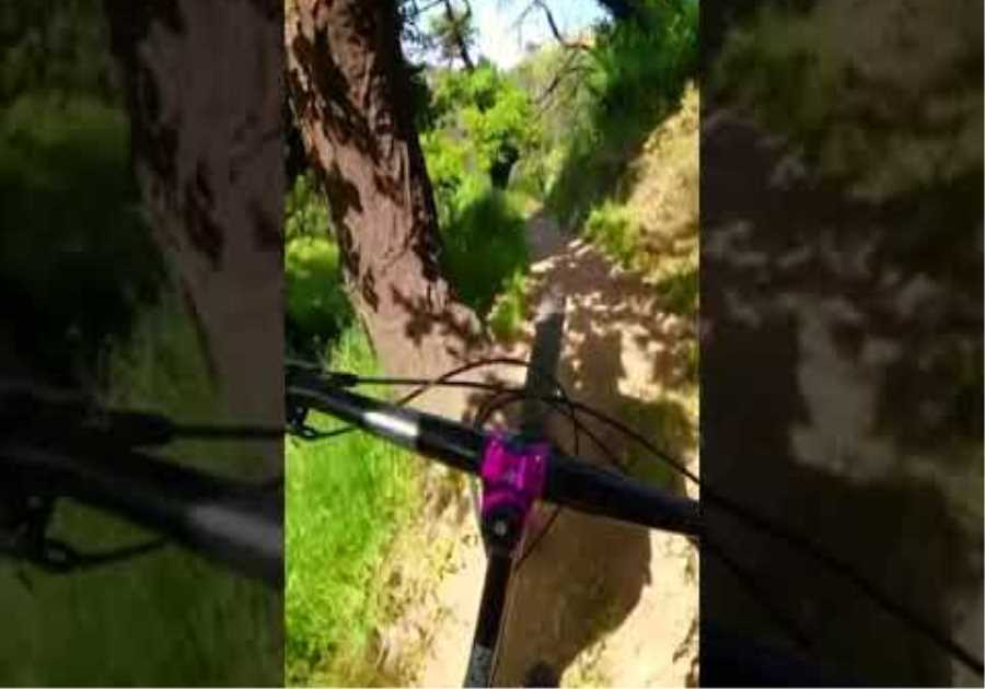 Checking out a rad trail.