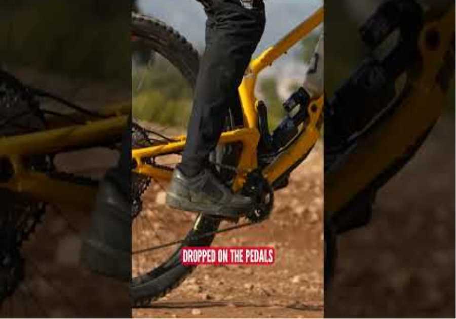 The Ready Position | Essential MTB Tip