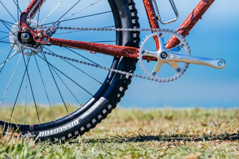Sklar Bikes x The Radavist Super Something #coaster drive train