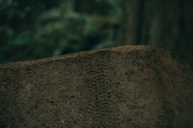 Airplane Mode: OneUp Build New Squamish Trail & Raise $44,000 for Trails Associations