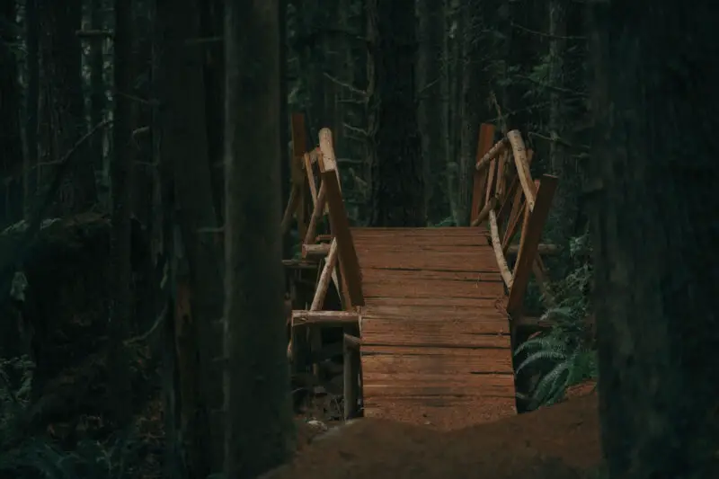 Airplane Mode: OneUp Build New Squamish Trail & Raise $44,000 for Trails Associations