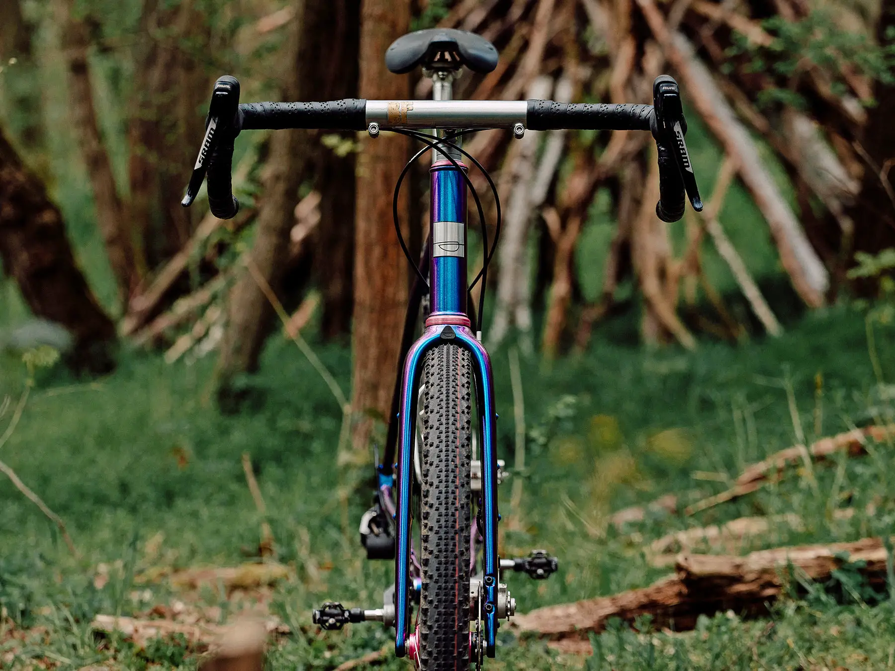 Sour Business ultra-tough carbon gravel adventure bikepacking fork, custom Purple Haze photo by Flori, front view