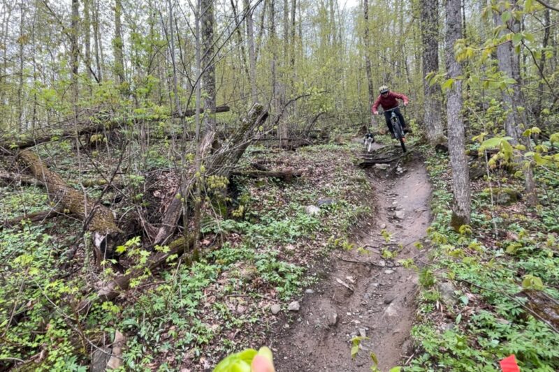 OneUp Components Composite mountain bike flat pedals action shot