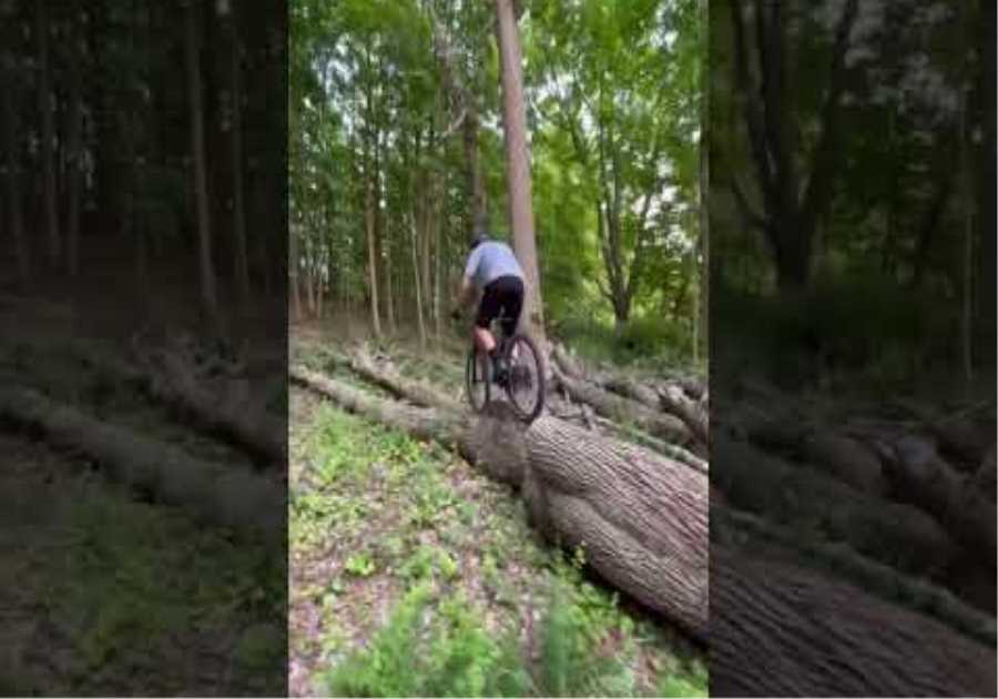 Massive tree hop. ￼