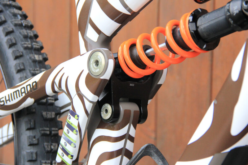 Pro Bike Check: Raphaela Richter’s Ibis HD6 Enduro Race Bike