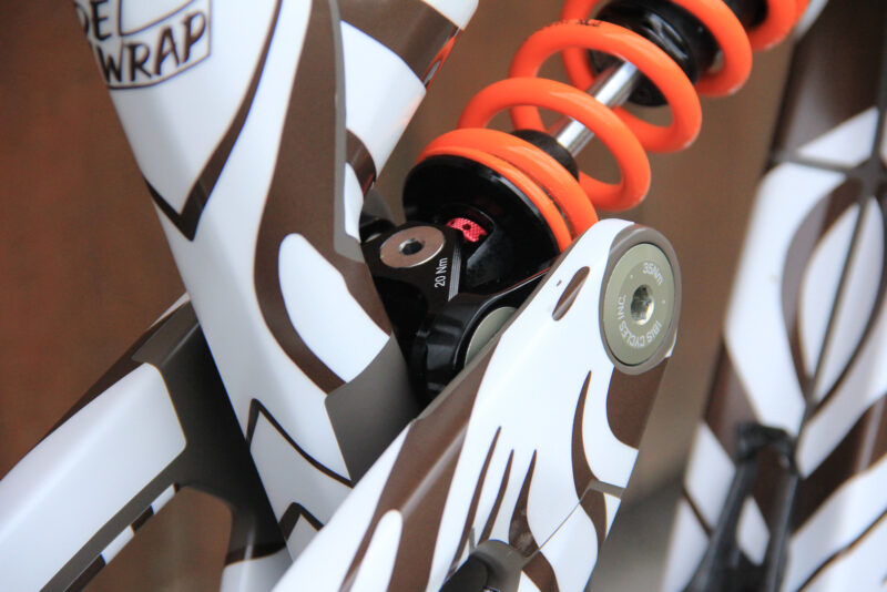 ibis hd6 dw link fox dhx2 coil raphaea richter pro bike check