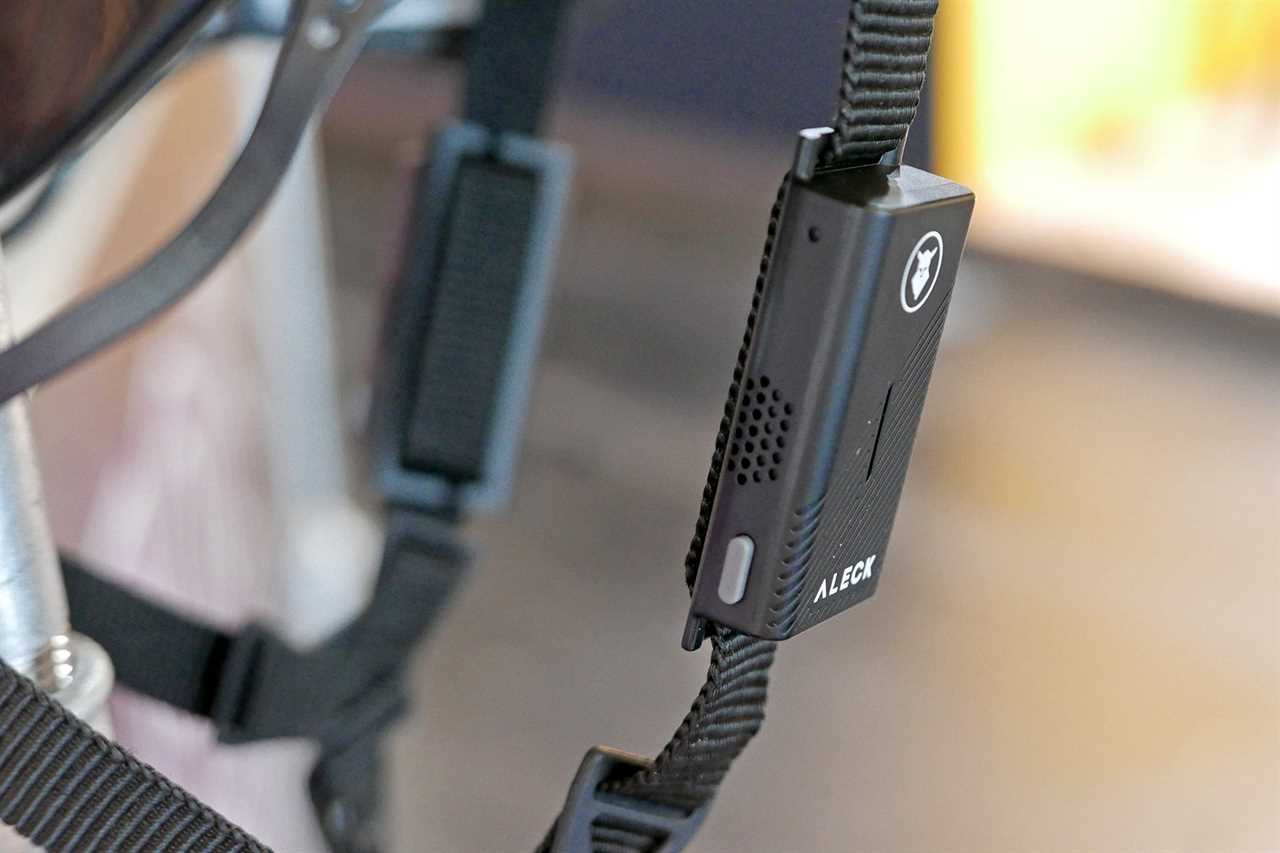Aleck Punks near-ear wireless headphones audio and rider-to-rider communication, detail