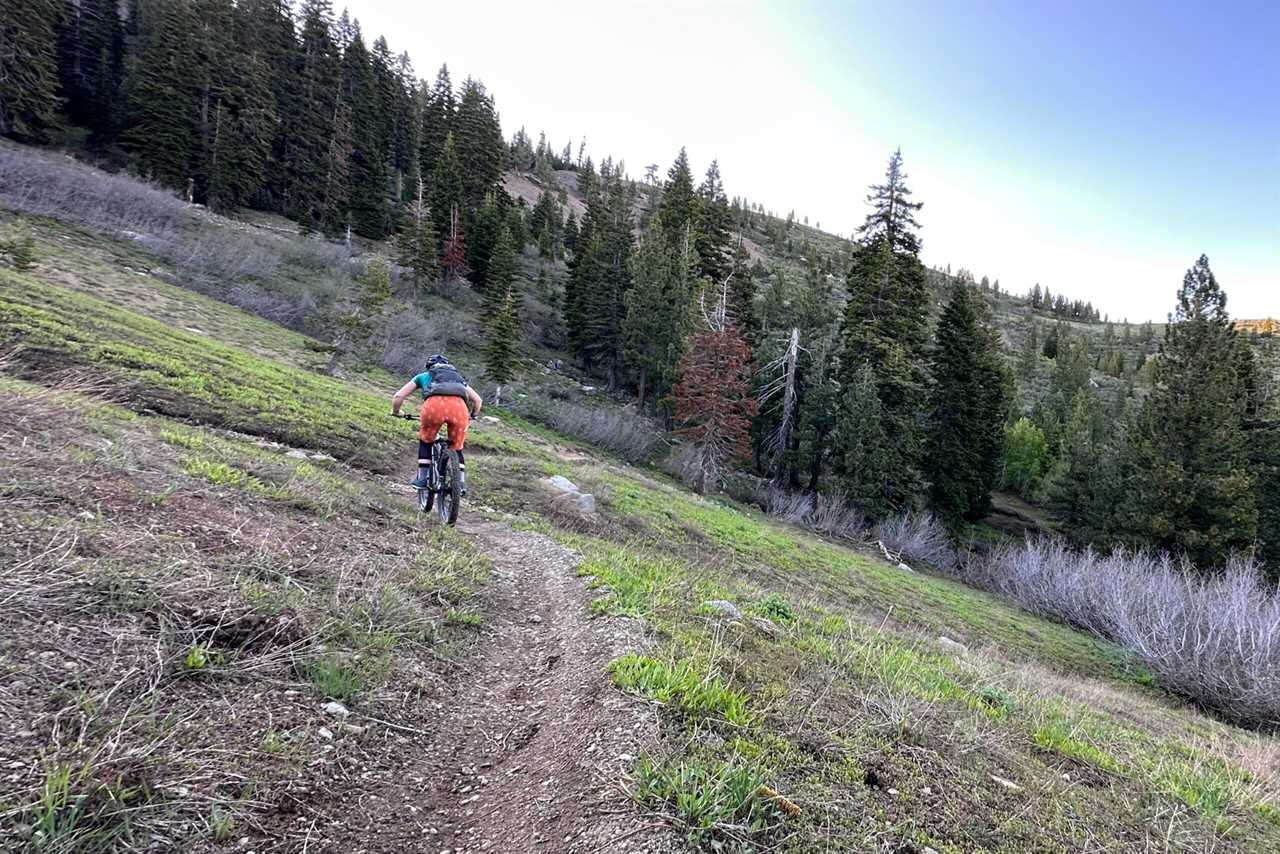 Riding a singletrack in the Wild Rye Freel women's mountain bike shorts