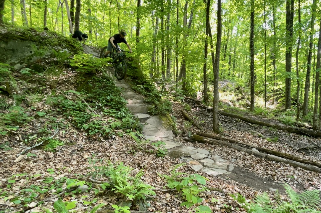 Bike Yoke Revive 2.0 dropper post action shot