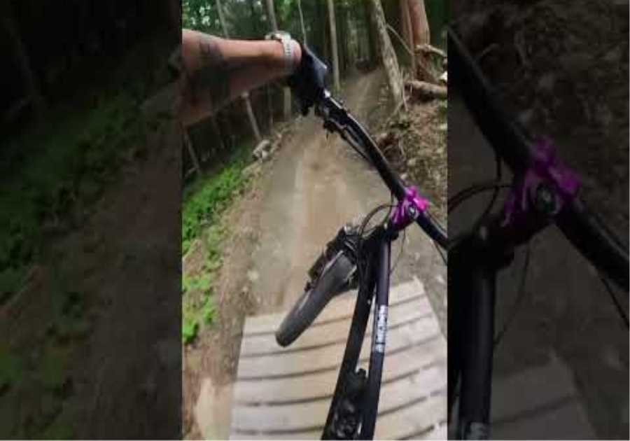 This trail is amazing!