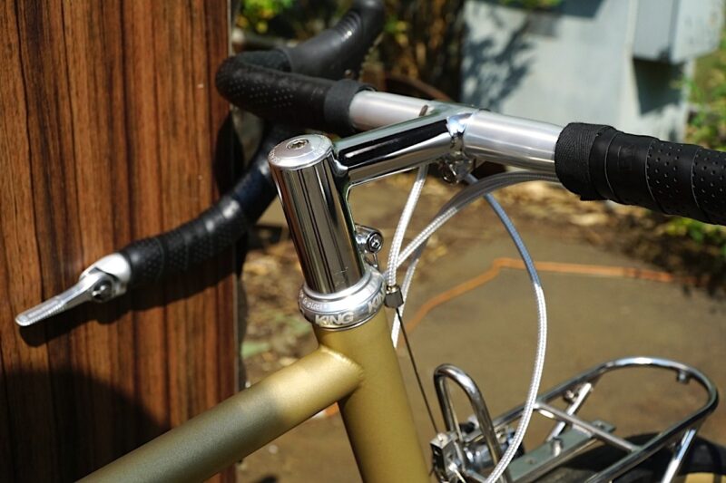 Pine Cycles Rasa stem