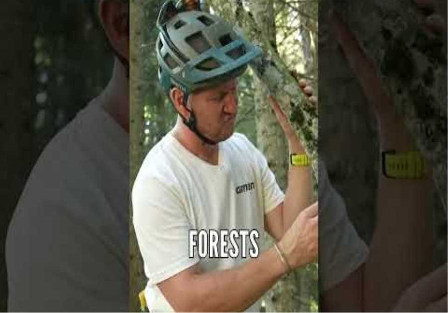Mountain Biking Isn't All About This... 🚫🙅