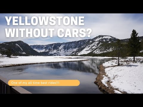 Yellowstone Spring Cycling - The best time to go (on a bike)