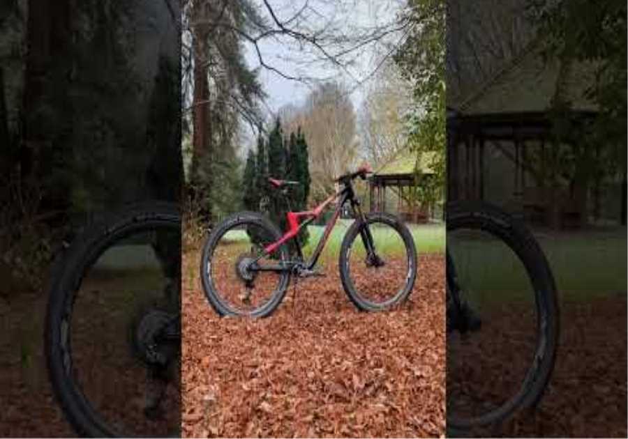 The Orbea Oiz! 😍