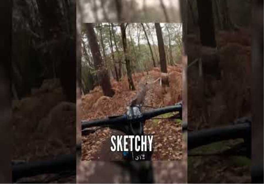 GMBN Cameraman Sends It On Singletrack In An XC Race! 🚵💨