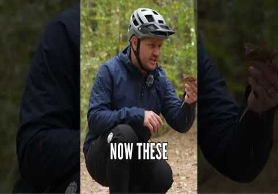 Pick The Perfect Cuttie Spot! 🚲 💨