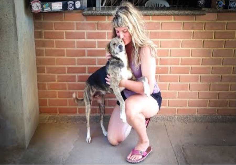 World Bike Girl: Dogs in Brazil