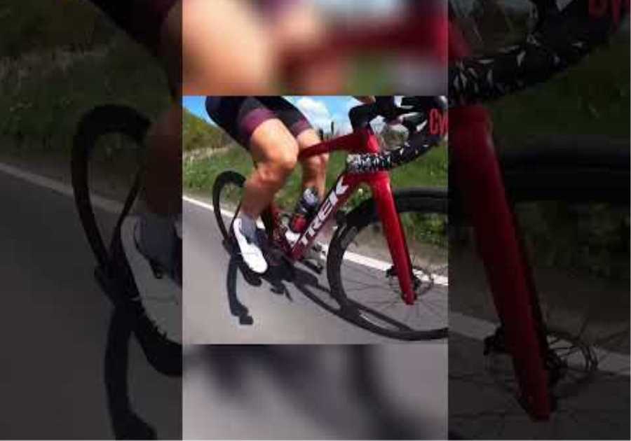 Unlocking the Secrets of Trek's Domane AL Series  Price, Builds, and Performance