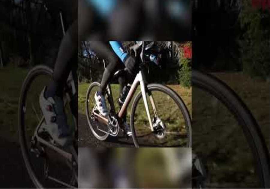 The Synapse II  Unleashing Performance for Long Distance Riding