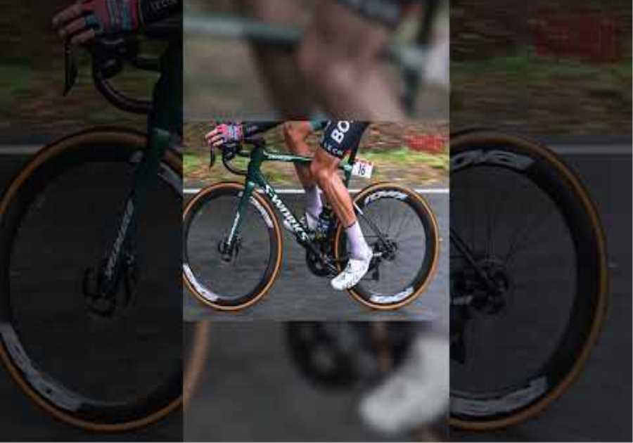 Bora Hansgrohe are running some beautifully specced Specialized SL8's  #roadbike #roadcycling