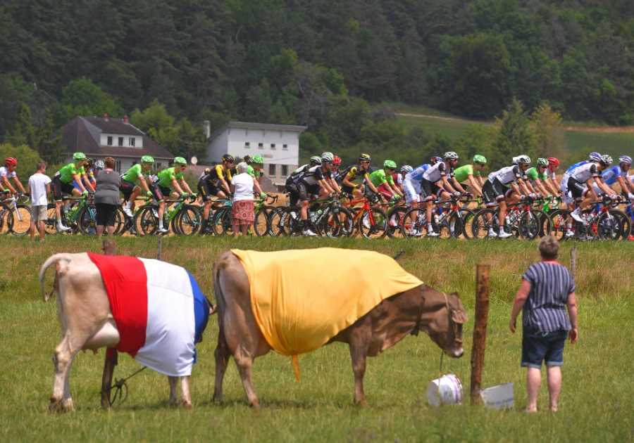 Tour de France Stage 19 Shortened Due to Contagious Disease Outbreak Amongst Local Cattle