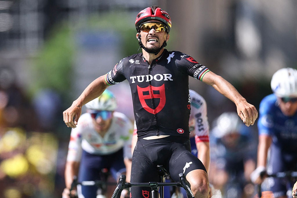 Alaphilippe Dislocates Shoulder, Pops it Back, Celebrates Third-Place Finish Thinking He Won