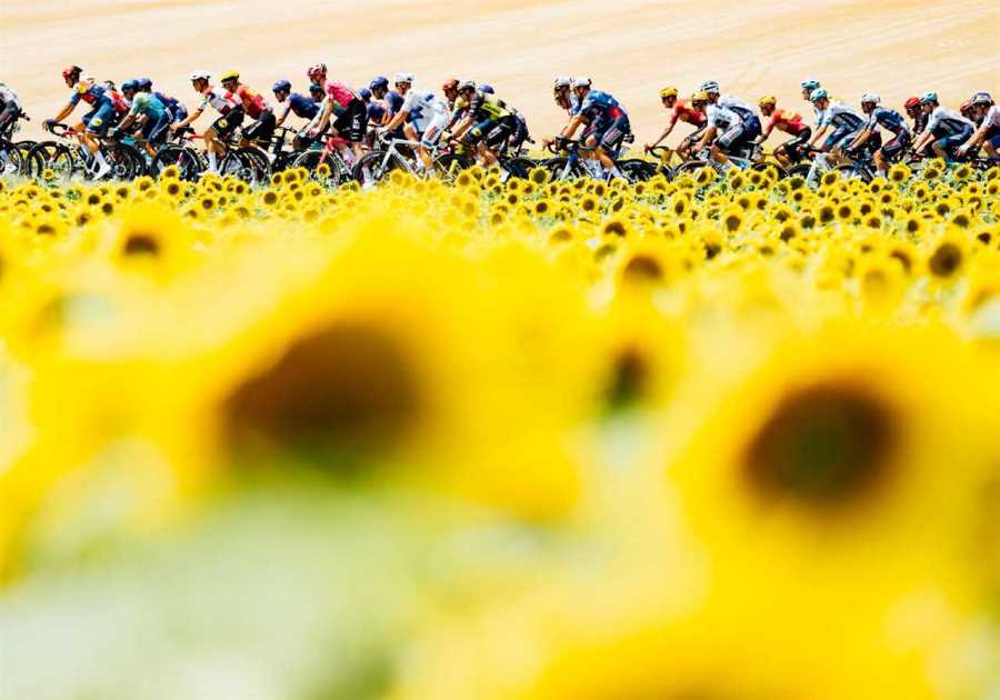 Stage 9 Gallery: A Long Distance Break in the Sunflower Fields